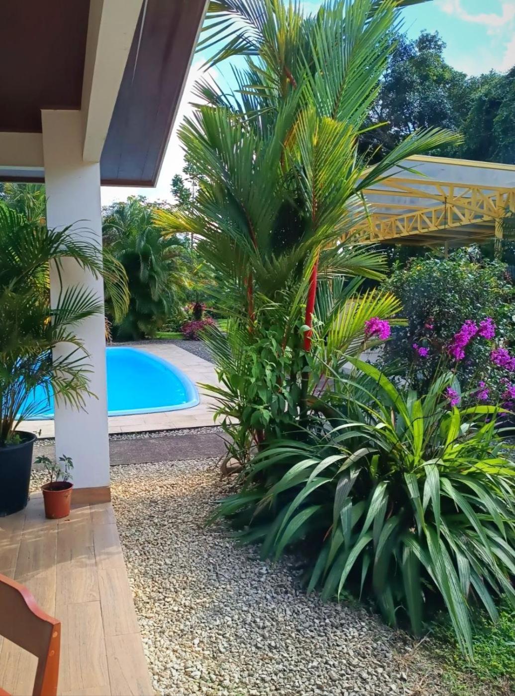 نويفو أرينال Arenal Villas Tranquilas, Free-Standing Equipped Houses المظهر الخارجي الصورة